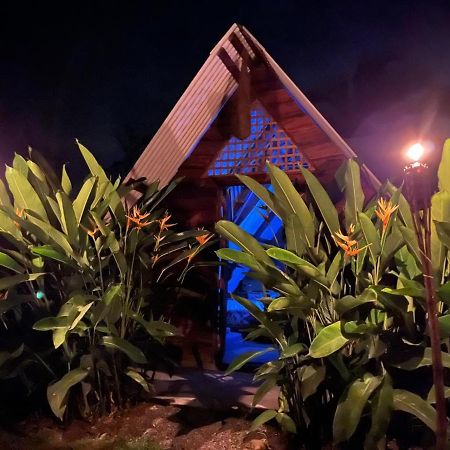 Bewak Cr Hotell Tortuguero Exteriör bild