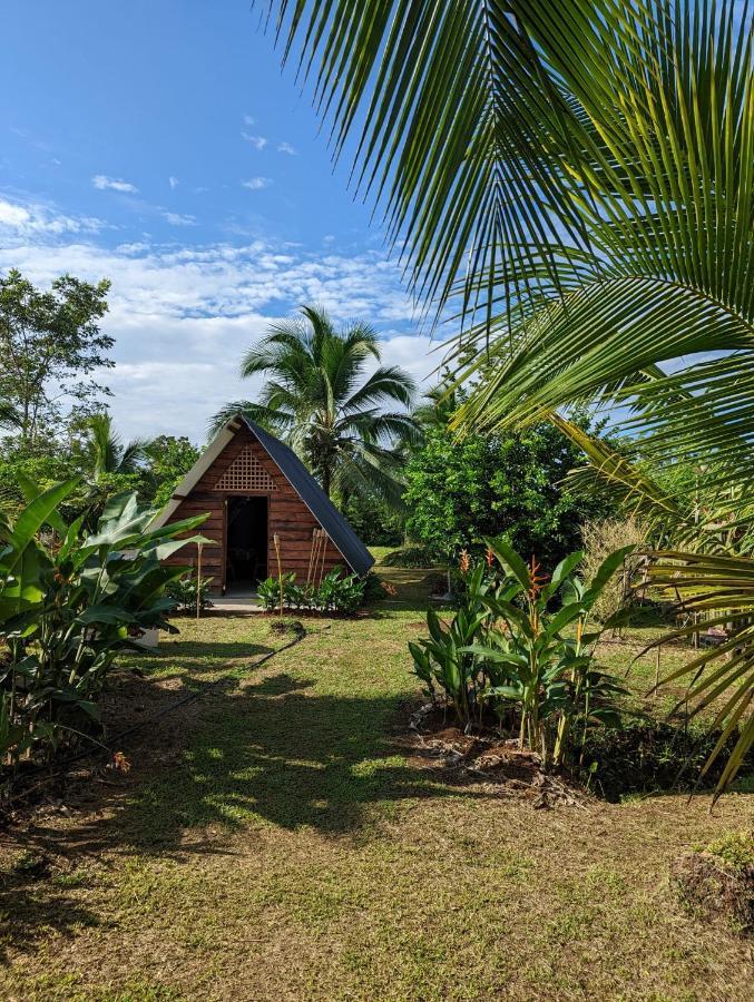 Bewak Cr Hotell Tortuguero Exteriör bild