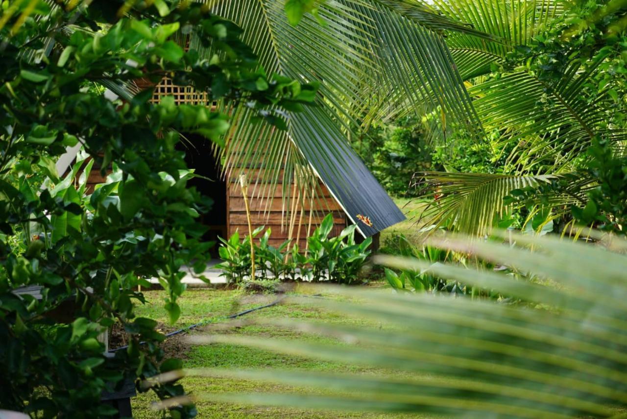 Bewak Cr Hotell Tortuguero Exteriör bild