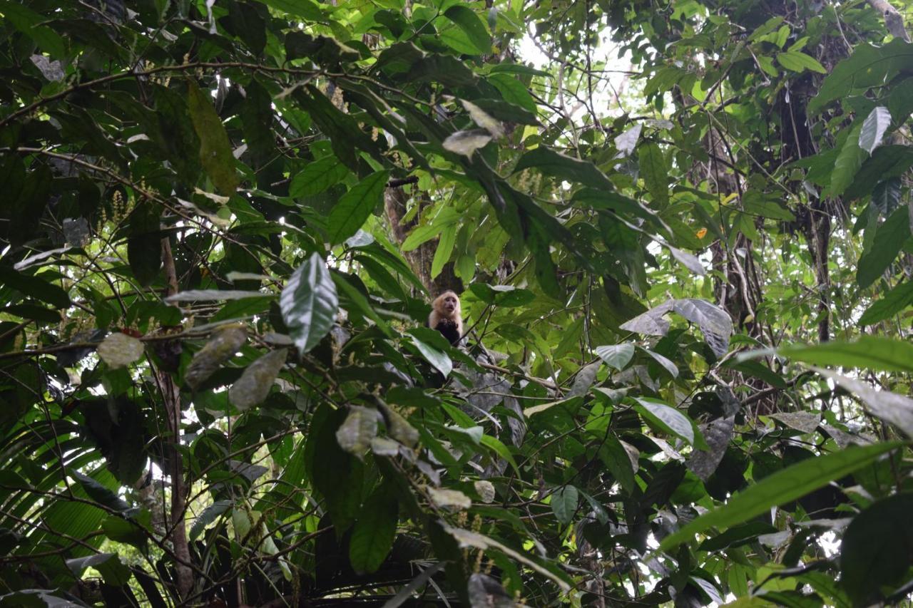 Bewak Cr Hotell Tortuguero Exteriör bild