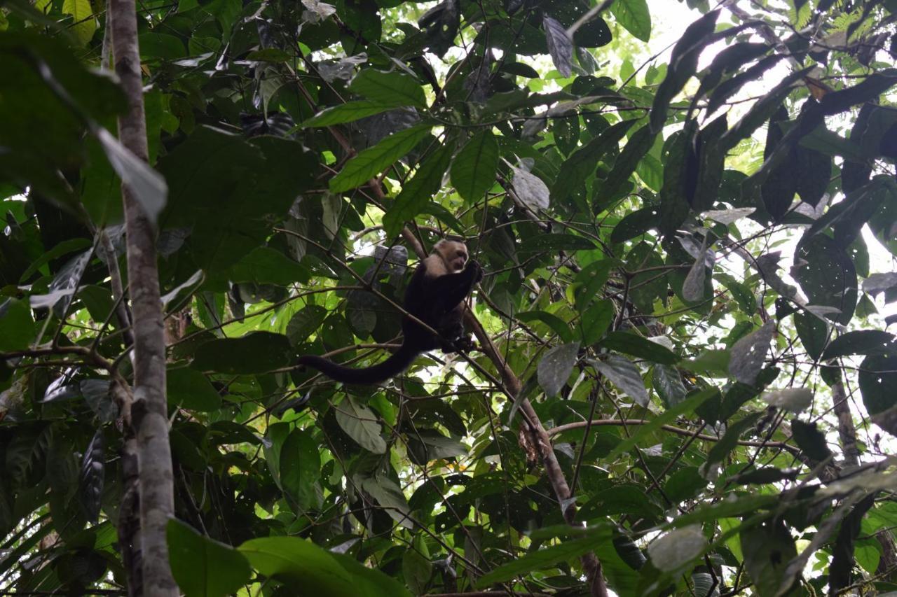 Bewak Cr Hotell Tortuguero Exteriör bild
