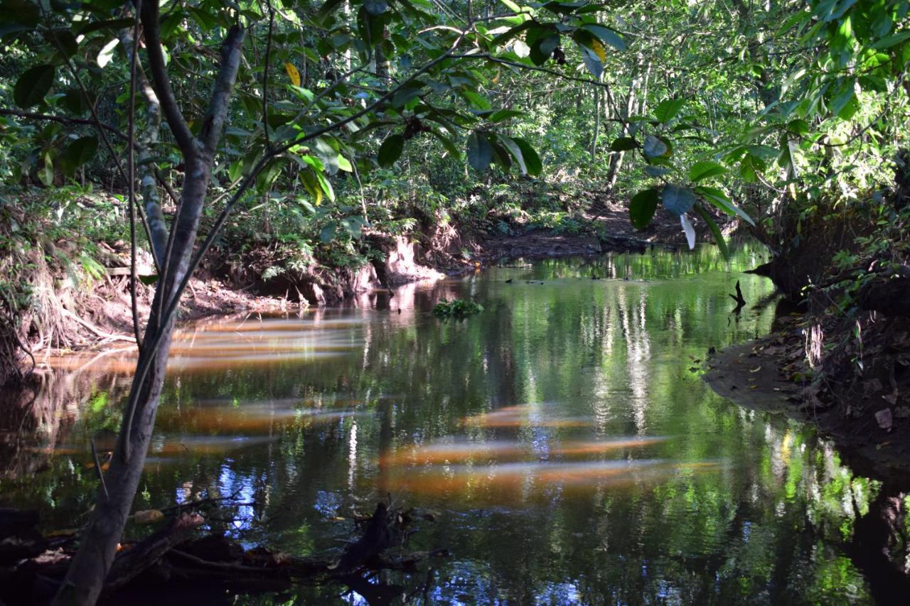 Bewak Cr Hotell Tortuguero Exteriör bild