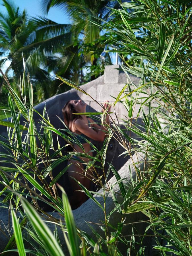 Bewak Cr Hotell Tortuguero Exteriör bild
