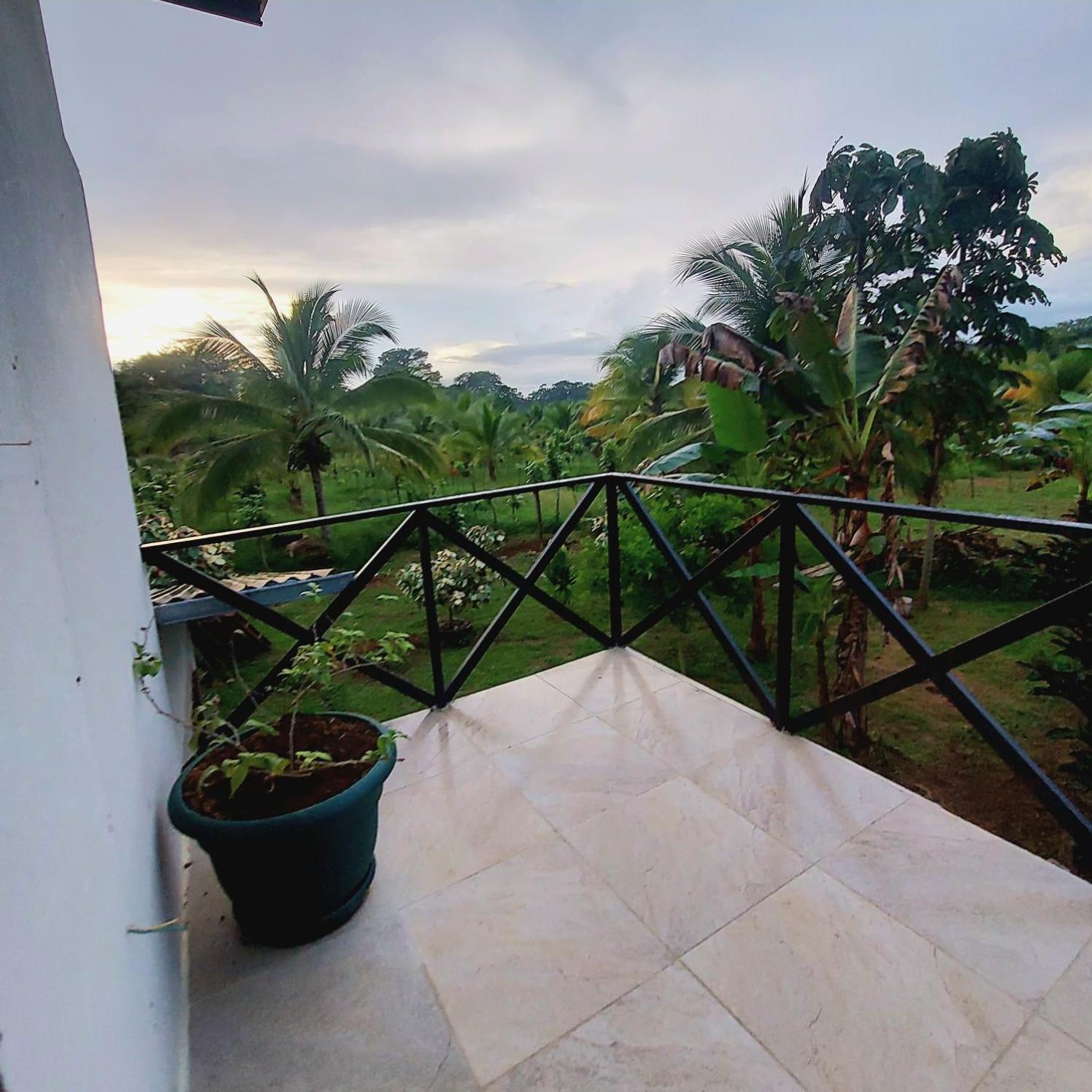 Bewak Cr Hotell Tortuguero Exteriör bild