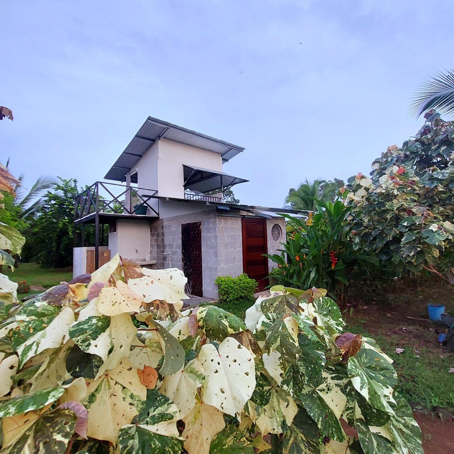 Bewak Cr Hotell Tortuguero Exteriör bild