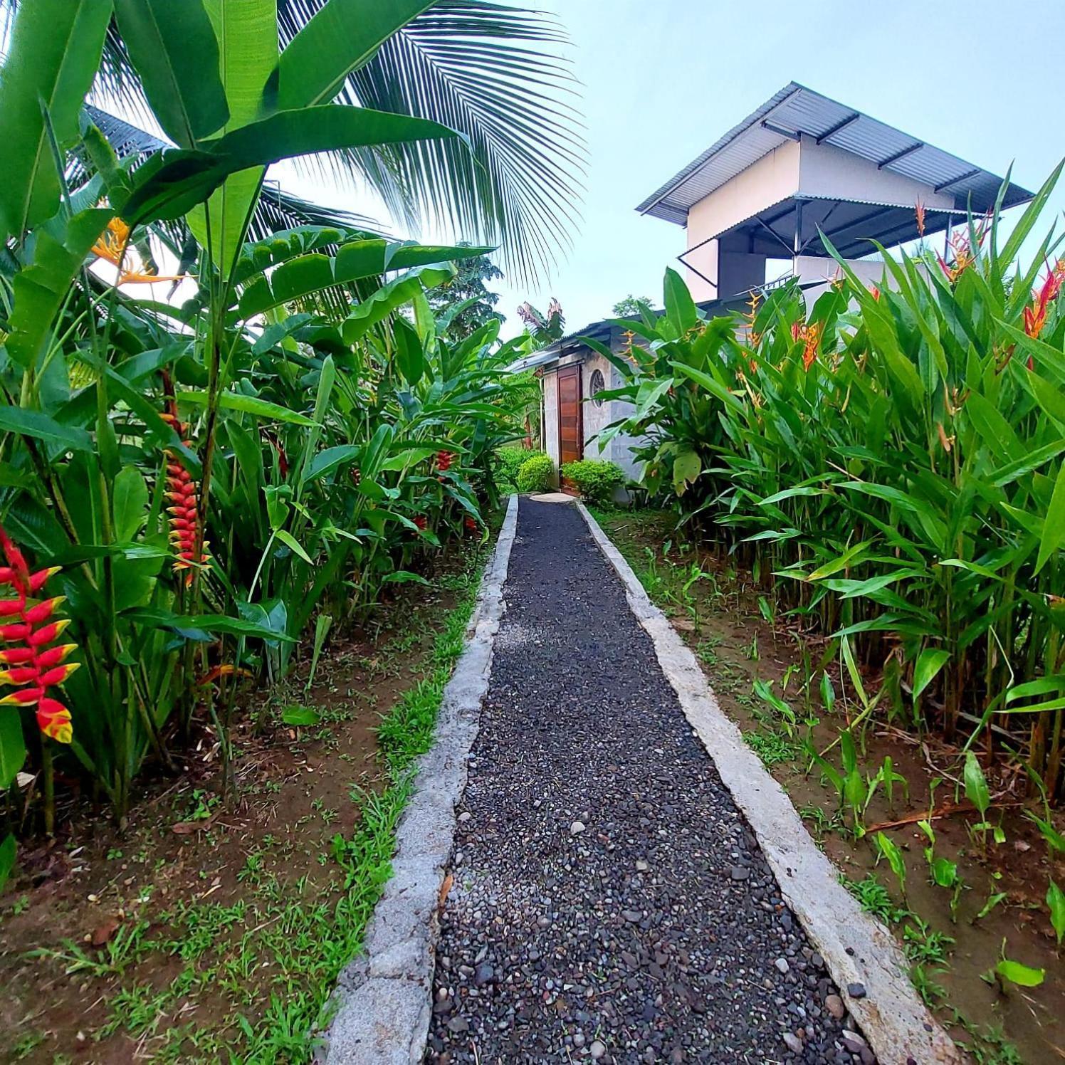 Bewak Cr Hotell Tortuguero Exteriör bild
